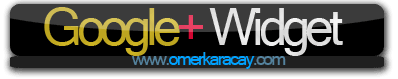 Google Plus Widget